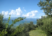 Bild Gardasee